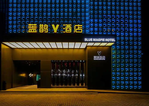 藍鵲酒店專項調研 協(xié)會精準定制發(fā)展良策